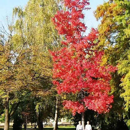 Panorama Pihenohaz Balatonalmadi